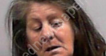 CLERIHEW, LORA ANN | 2026-01-04 18:00:00 Wayne County, West Virginia Booking