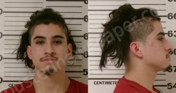 PEREZ, HUGO | 2026-01-05 Henderson County, Texas Booking