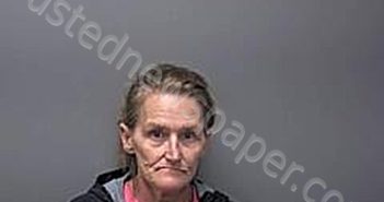 MITCHELL, MYRA L | 2026-01-05 17:31:00 Baxter County, Arkansas Booking