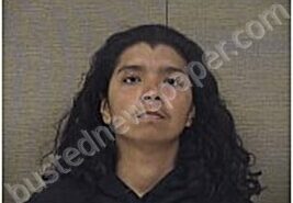 GUADALUPE, SAUL | 2026-01-05 Harnett County, North Carolina Booking