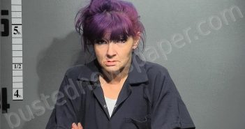 MABRY, JODIE | 2026-01-06 18:15:00 Western Tidewater, Virginia Booking