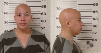 FANOU, SONIA | 2026-01-06 Henderson County, Texas Booking