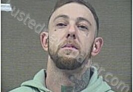JOHNSON, GREGORY | 2026-01-06 Harnett County, North Carolina Booking