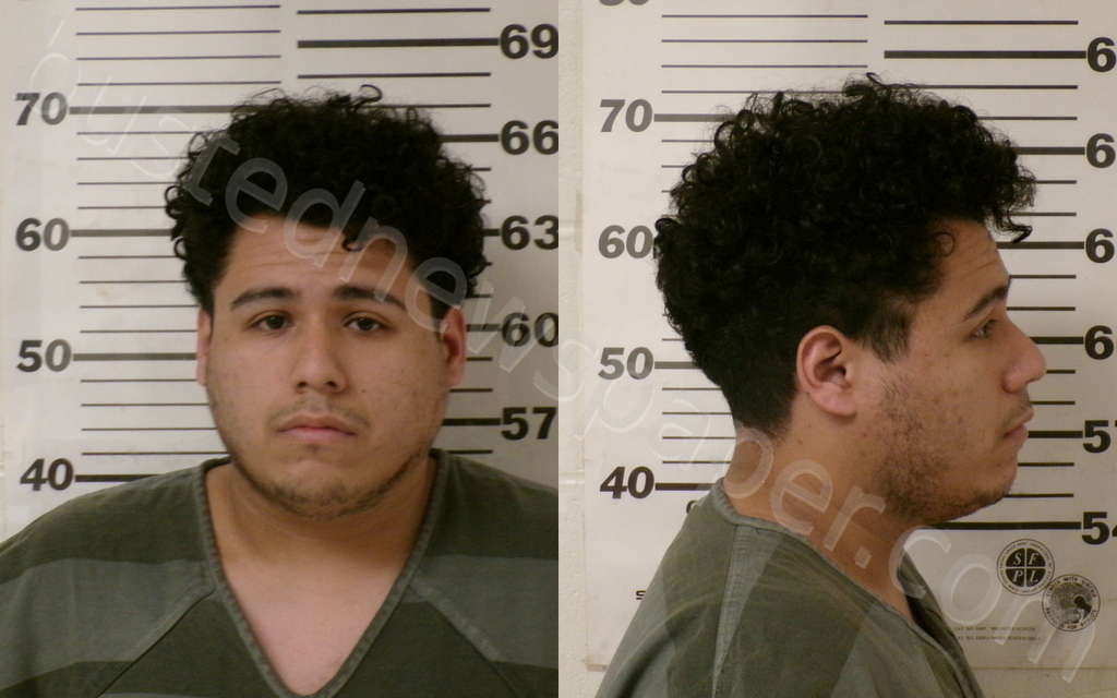 CATANO, DANIEL FELIPE #, Henderson County, Texas - 2026-01-06