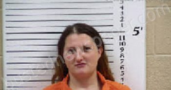 SHOOK, CHRISTA SHERIDAN | 2026-01-06 13:33:00 Cherokee County, North Carolina Booking