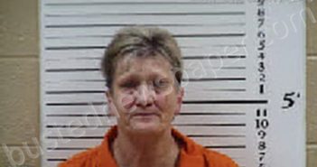 ALLEN, ROBIN DALE | 2026-01-07 09:22:00 Cherokee County, North Carolina Booking