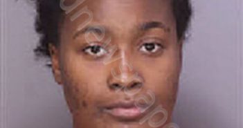 DICKS, IMANI DANAE | 2026-01-07 00:43:00 Florence County, South Carolina Booking