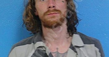 NEWSOME, CHANDLER ALLEN | 2026-01-07 14:00:00 Sullivan County, Tennessee Booking