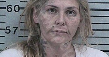 STINE, GABRIELLE JOURDEN | 2026-01-08 18:22:17 Hood County, Texas Booking