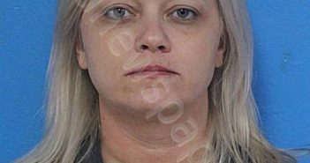 DAVIS, BRANDI NICOLE | 2026-01-10 02:23:14 Sullivan County, Tennessee Booking
