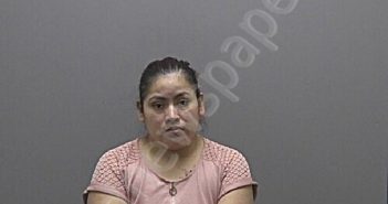 LOPEZ, MARIA ANGELICIA | 2026-01-11 14:43:00 Alamance County, North Carolina Booking
