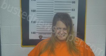 THEBEAU, AMANDA N | 2026-01-12 15:21:00 Ottawa County, Ohio Booking