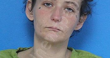 SHEPARD, MINNIE ELIZABETH | 2026-01-12 11:52:57 Sullivan County, Tennessee Booking