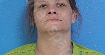 THOMPSON, JENNIFER MICHELLE | 2026-01-12 11:04:00 Sullivan County, Tennessee Booking