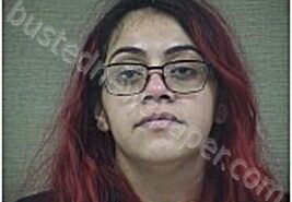 BAHENA, LUCERO | 2026-01-13 Harnett County, North Carolina Booking