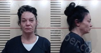 BORLAND, TIFFANY MICHELLE | 2026-01-13 Parker County, Texas Booking