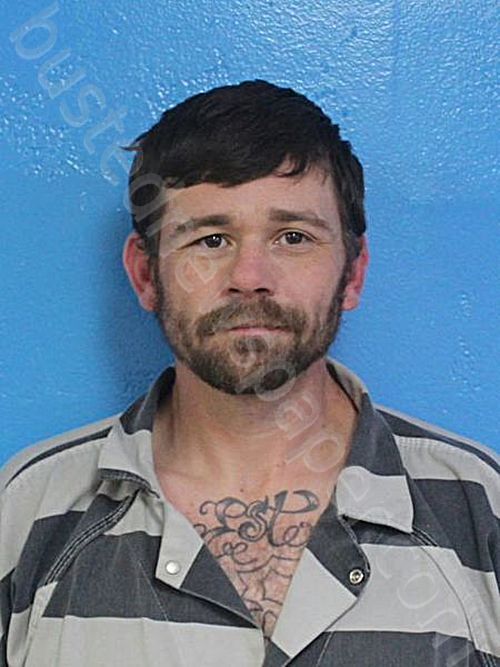 CLAYTON, BRANDON GLEN #, Sullivan County, Tennessee - 2026-01-13 17:01:00