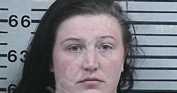 BRIGHTMAN, ALEXANDRIA GRACE | 2026-01-13 20:32:47 Hood County, Texas Booking