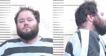 SHEPHERD, NICKI LEE | 2026-01-13 Parker County, Texas Booking