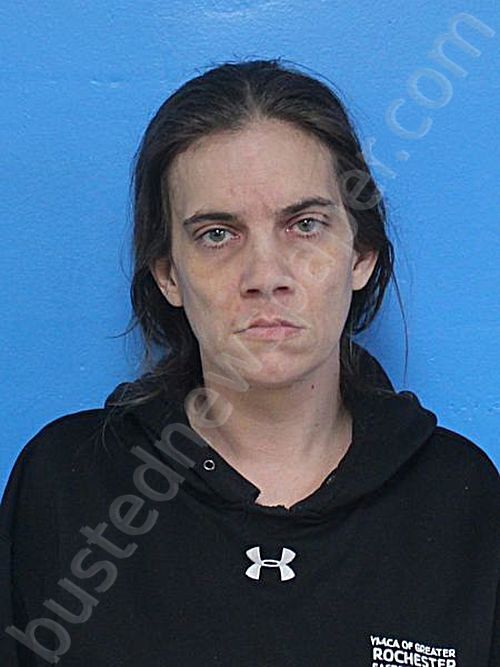 ROGERS, KRISTINA ANN #, Sullivan County, Tennessee - 2026-01-13 13:19:00