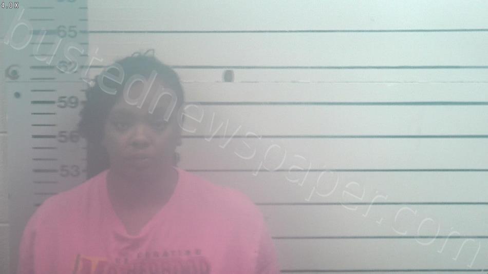 JAMES, TIERRA DENISE #, Desoto County, Mississippi - 2026-01-14 00:59:00