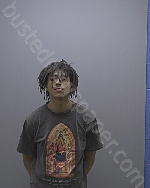 JOHNSON, IAN KEANU #, Alamance County, North Carolina - 2026-01-15 07:09:00