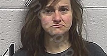 LISENBY, MELISSA DANIELLE | 2026-01-15 15:07:00 Sharp County, Arkansas Booking