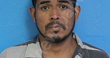 MEDINA, LUIS FERNANDO DAVILA | 2026-01-15 12:03:00 Sullivan County, Tennessee Booking