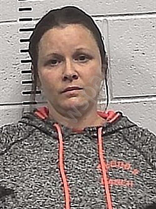 BRIGMAN, CRISSY NICOLE #, Sharp County, Arkansas - 2026-01-16 12:03:00
