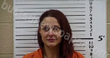LAYTON, AMANDA ARMSTRONG | 2026-01-17 10:30:00 Cherokee County, North Carolina Booking