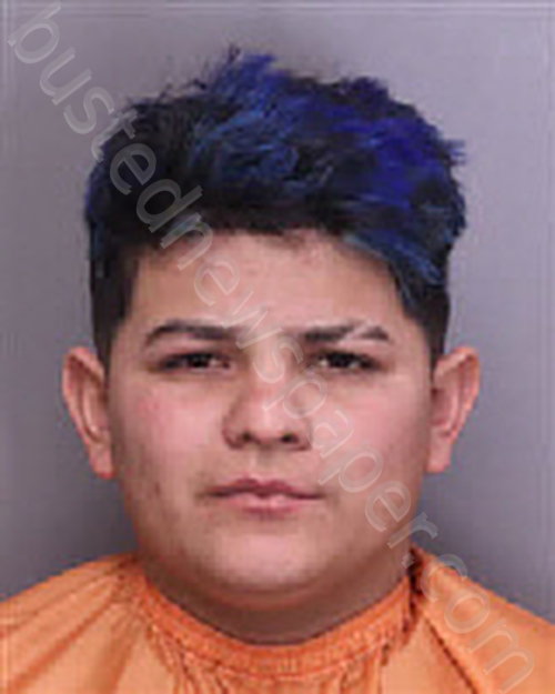 ALBERTO-GARCIA, JEFFRY JAFET #, Florence County, South Carolina - 2026-01-17 11:47:00