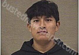 GOMEZ ALVAREZ, MARCOS | 2026-01-17 Harnett County, North Carolina Booking