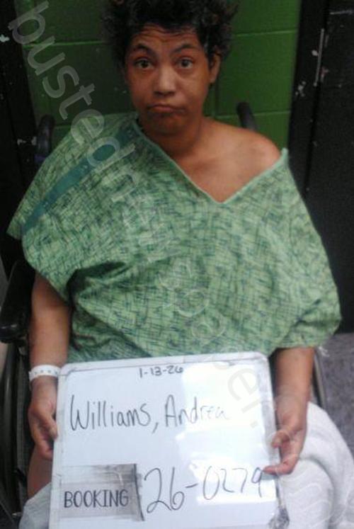 WILLIAMS, ANDREA MONIQUE #, Sebastian County, Arkansas - 2026-01-18 15:37:00