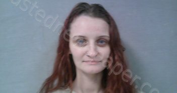 SPENCER, LAURA ANN | 2026-01-18 15:00:00 Braxton County, West Virginia Booking