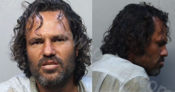 CARAZO, LESTER LUIS | 2026-01-18 08:23:00 Miami-Dade County, Florida Booking