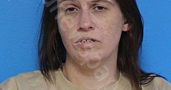 FERGUSON, KAYLA BROOKE | 2026-01-19 05:53:33 Sullivan County, Tennessee Booking