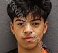 <B>MARTINEZ</B> GUEVARA, EMERSON <B>RAMON</B> #, Oconee County, South Carolina - 2026-01-21