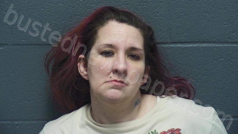 MCMURRAY, MELISSA MARIE #, Montgomery County, Indiana - 2026-01-21 17:33:00