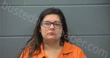 JOHNSON, AMBER LYNN | 2026-01-21 01:16:00 Cass County, Indiana Booking