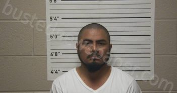 ORTIZ HERNANDEZ, JUAN | 2026-01-25 15:46:00 Coffee County, Tennessee Booking