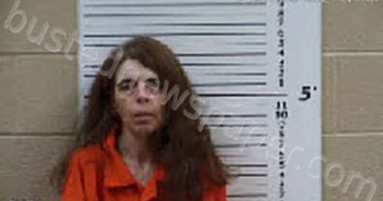 HOLBROOKS, MICHELLE LEE | 2026-01-25 05:09:00 Cherokee County, North Carolina Booking