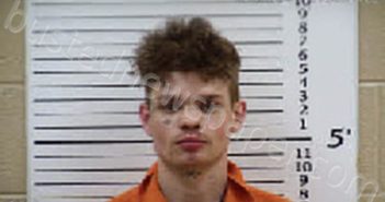 PAYNE, PRESLEY MARK | 2026-01-25 14:28:00 Cherokee County, North Carolina Booking