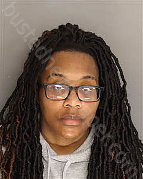 Marsh, Demetrius 20260125 111800 Berkeley County, South