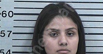 RODRIQUEZ, ANGELINA MICHELLE | 2026-01-27 15:18:33 Hood County, Texas Booking