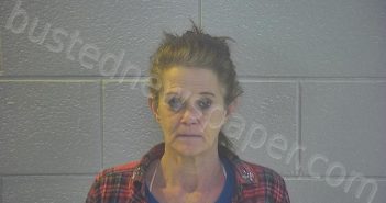 BURTON, PENNY ANN | 2026-01-28 12:26:00 Pulaski County, Kentucky Booking