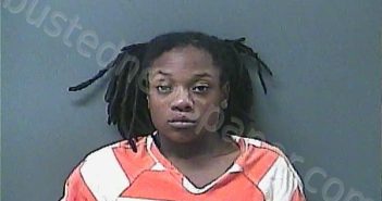 HOLLINS, TANIYA Q | 2026-01-28 14:50:00 Laporte County, Indiana, La Porte County, Indiana Booking