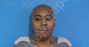 MCGEE, JADA DASHIELLE | 2026-01-28 11:25:00 Sullivan County, Tennessee Booking
