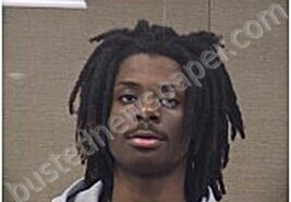 PIERRE-LOUIS, REGINALD | 2026-01-28 Harnett County, North Carolina Booking