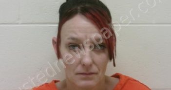 COOPER, PHYLLISA ANN | 2026-01-29 14:27:00 Scioto County, Ohio Booking