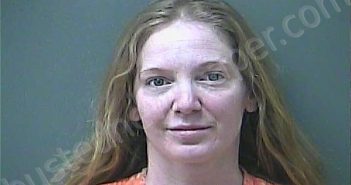 CLARK, MELISSA ANN | 2026-01-29 22:22:00 Laporte County, Indiana, La Porte County, Indiana Booking